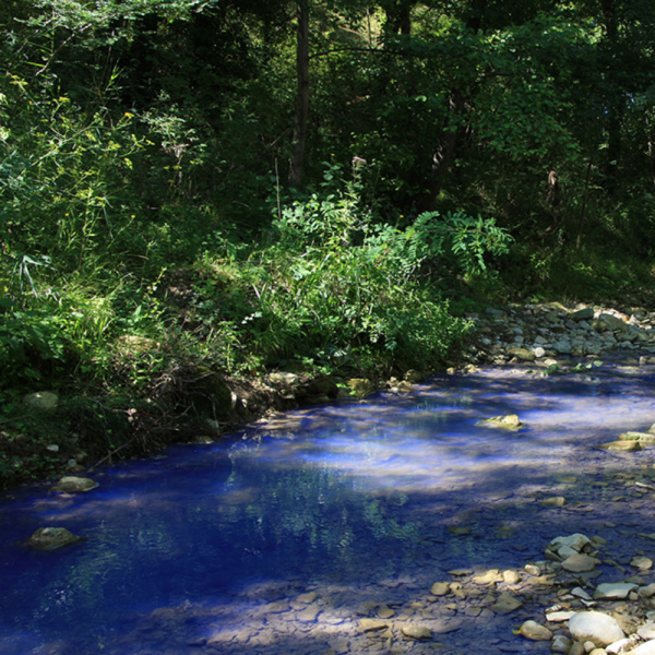Dyes for lakes and ponds